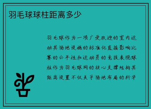 羽毛球球柱距离多少